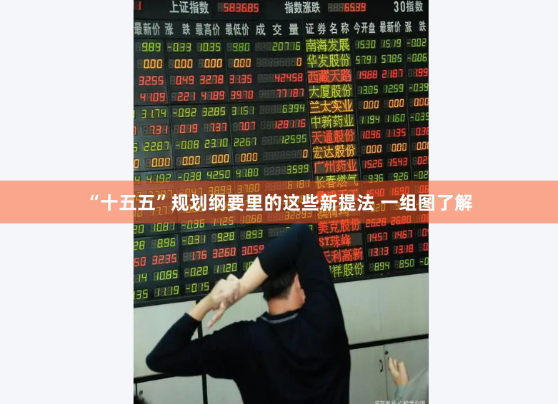 “十五五”规划纲要里的这些新提法 一组图了解